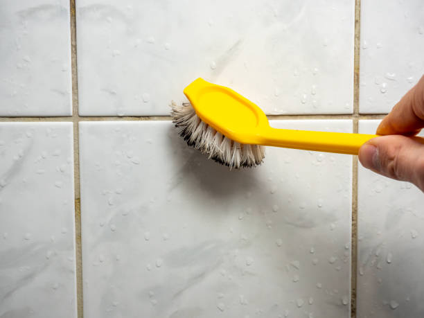 Best DIY Mold Remediation Support Services in Loving, NM