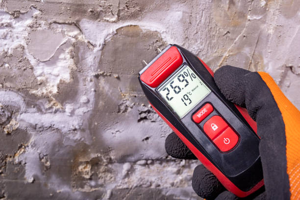 Trusted Loving, NM Mold Remediation Experts