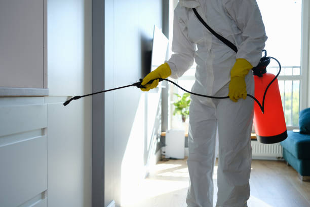 Best Health and Safety Mold Remediation in Loving, NM